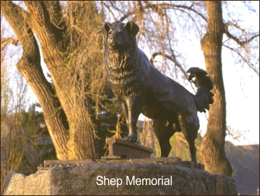 Shep's Memorial