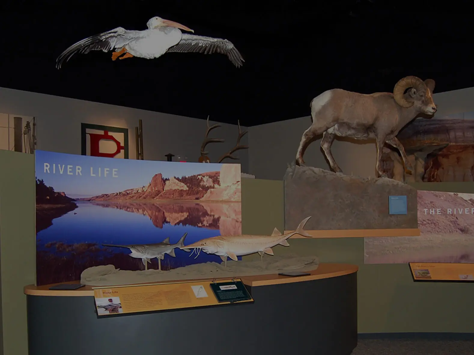 Fort Benton Montana Museums and Heritage Complex