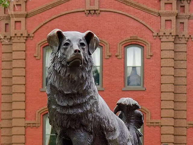 The Shep Memorial
