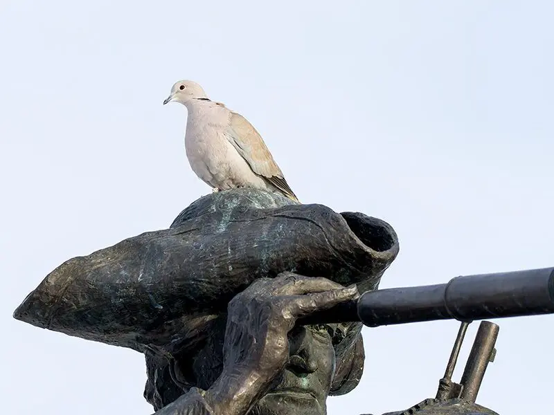 Montana’s Lewis & Clark Memorial