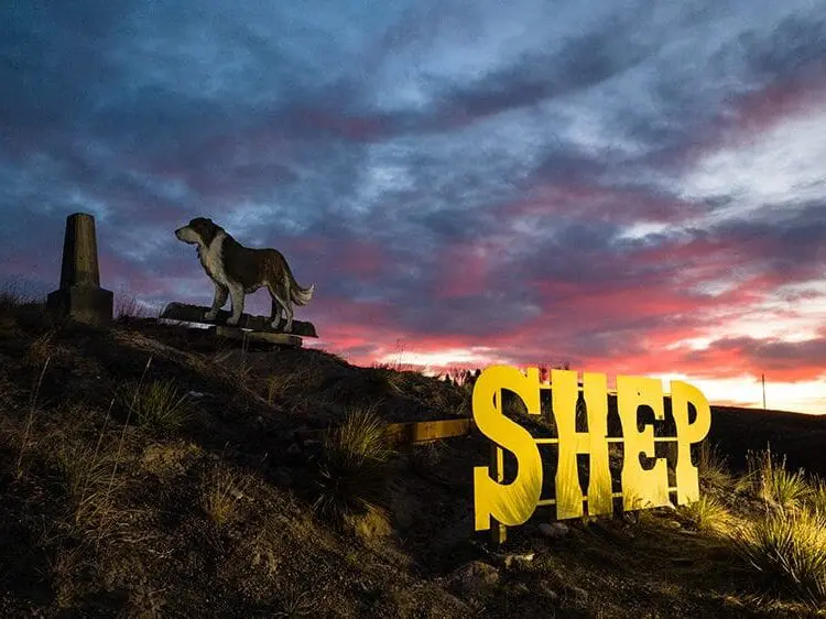 Shep’s Gravesite