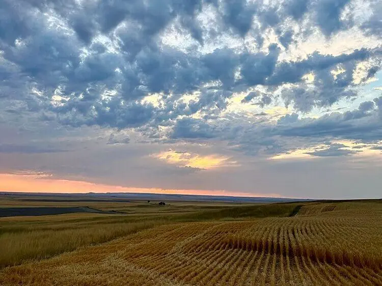 Country Roads & Scenic Drives