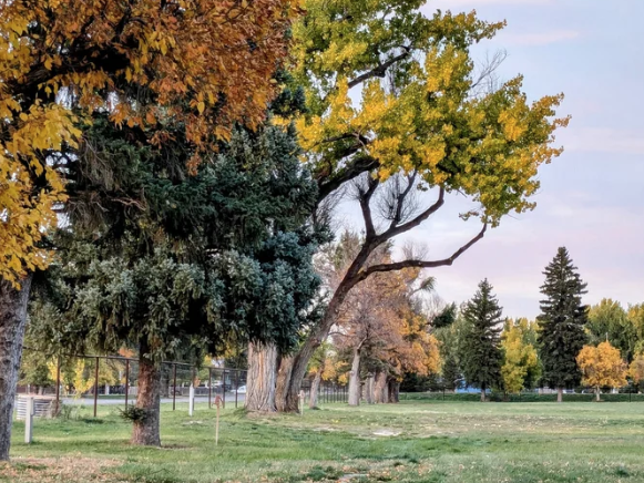 Chouteau Co. Campground
