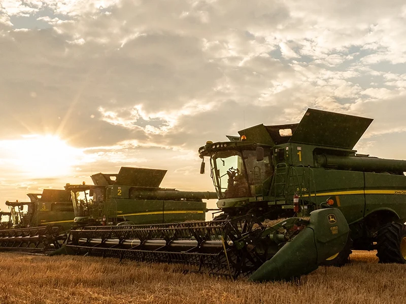 Agriculture & the Golden Triangle