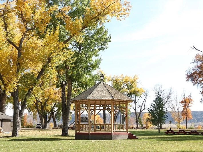 Parks & Playgrounds